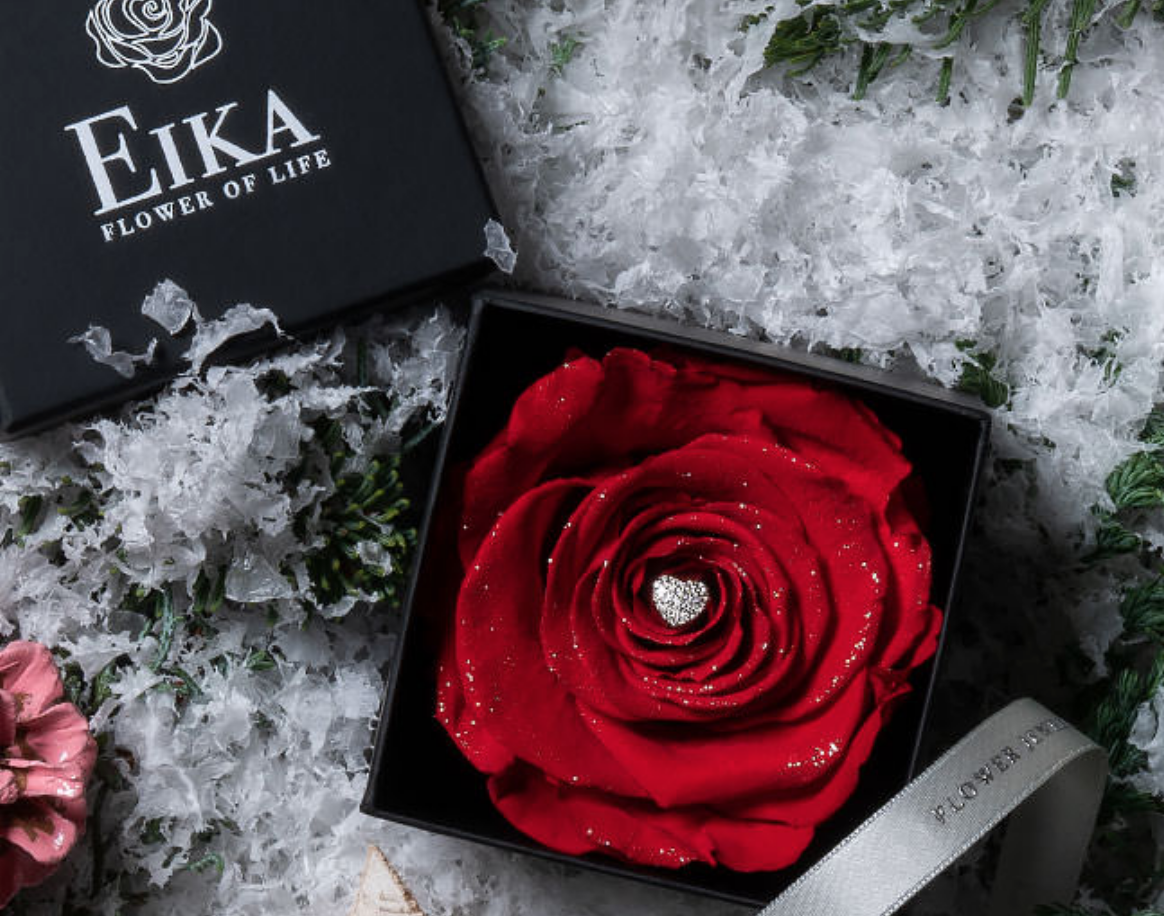 一輪のバラで忘れられないクリスマスプレゼントを叶えるなら Merry X Mas