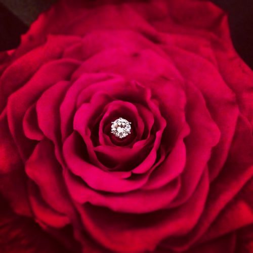 EIKA_KONYAKUYUBIWA_POST_14514-1carat-diamond-flowerjewelry-engagement
