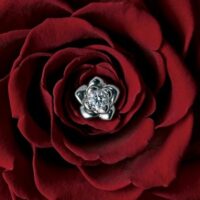 EIKA-フラワージュエリー-エンゲージメント-プロポーズ-婚約指輪-ダイヤモンド-バラ-花