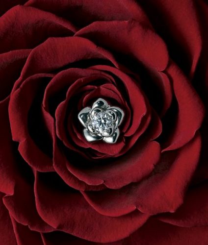 EIKA-フラワージュエリー-エンゲージメント-プロポーズ-婚約指輪-ダイヤモンド-バラ-花
