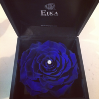 EIKA-フラワージュエリー-青-ブルーローズ-青バラ