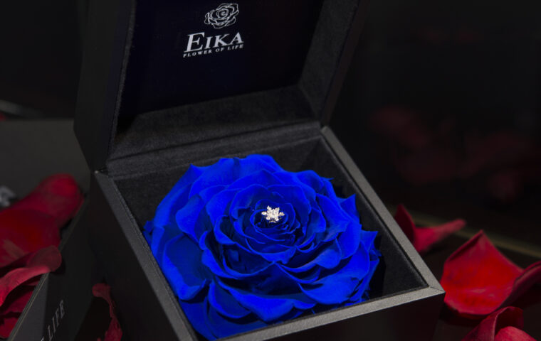 黒いボックスに入った青いバラ