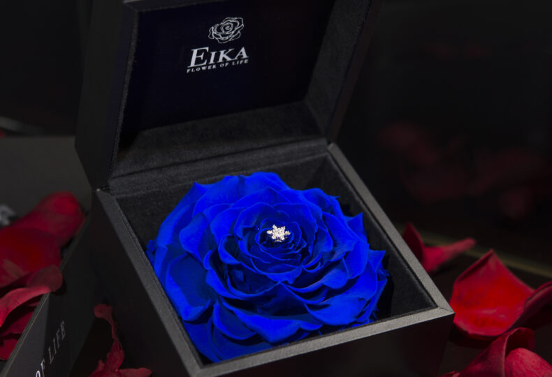 黒いボックスに入った青いバラ